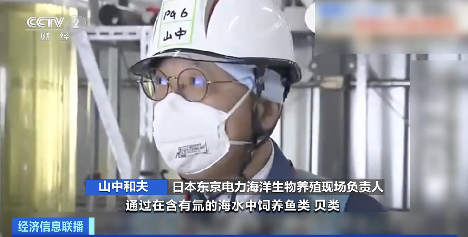 直播核污染水养鱼？日本为排污找噱头