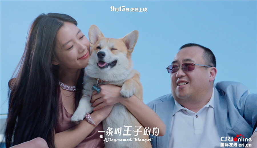 一条叫王子的狗