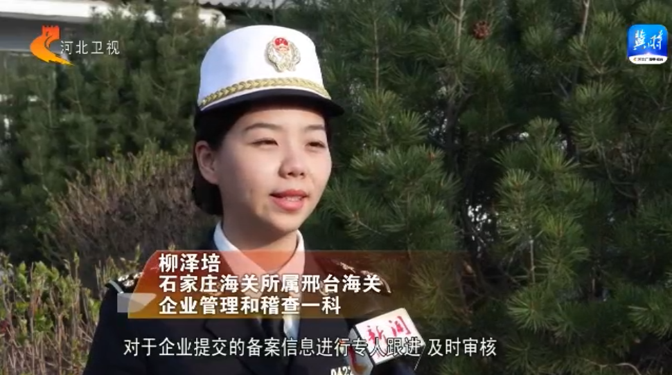 河北：强化服务举措 提升服务质量 持续激发外贸经营主体活力