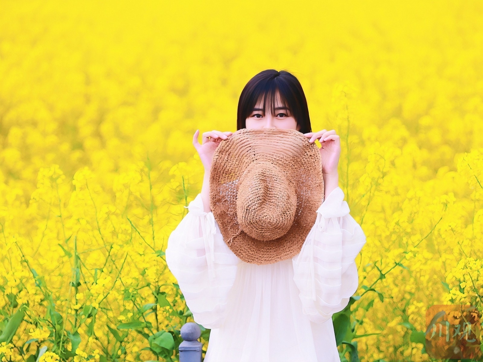 （转载）多地油菜花开了！邛崃、崇州……遍地金黄