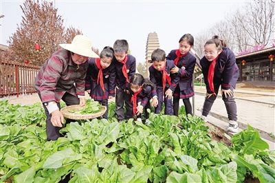 我是“小菜农” 拔草管护我都行_fororder_微信图片_20230323083812