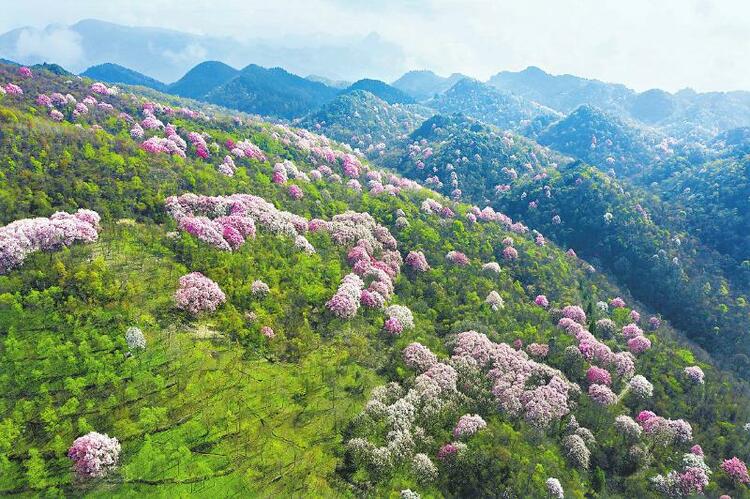 （转载）春天相约绵阳 开启文旅融合高质量发展新篇章_fororder_7c425c0b3a34513732a651d14c5a9ed3