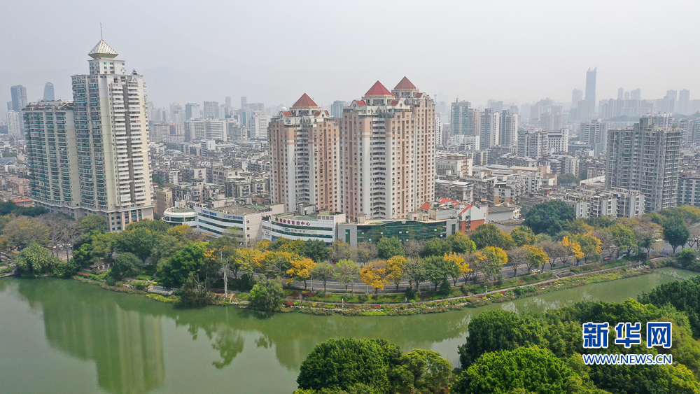 福州奇景：春风吹闽江 落叶满榕城