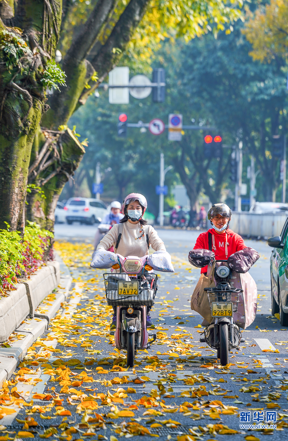 福州奇景：春风吹闽江 落叶满榕城
