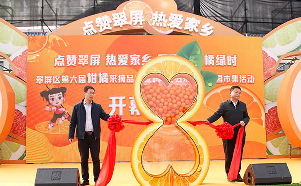 宜宾市翠屏区举行第六届柑橘采摘品鉴暨哪吒归来春日游园市集活动_fororder_翠屏区委副书记、区长张林（右）拉启象征美满的红色飘带-摄影-何芳1
