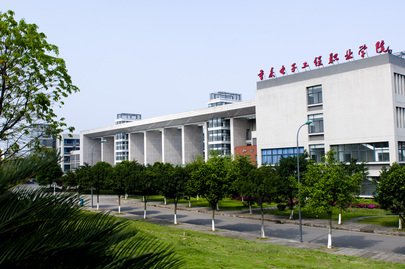 国际合作高水平内涵式发展  打造高职国际化办学典范_fororder_1
