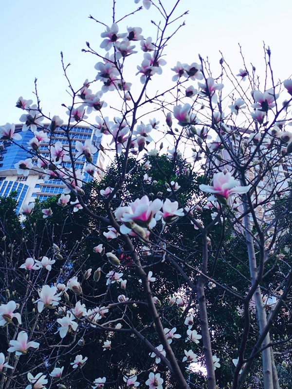 四川资阳：春日时节到来 解锁雁城赏花打卡三地_fororder_a59e4562c5a8130ce7b0049d4268b3fe