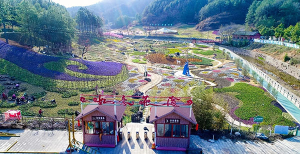 广元昭化：大力发展旅游业 绘就乡村振兴美丽画卷_fororder_如意花海-供图-广元市昭化区委宣传部