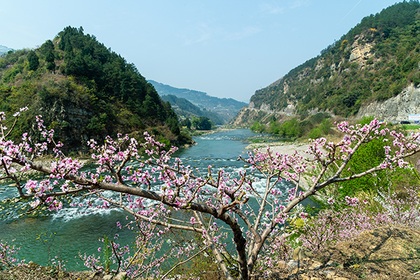 泸州叙永县：做强“赏花经济” 促进文旅消费全面加速回暖_fororder_叙永县赤水镇乌蒙花海（魏廷华摄影）-(2)