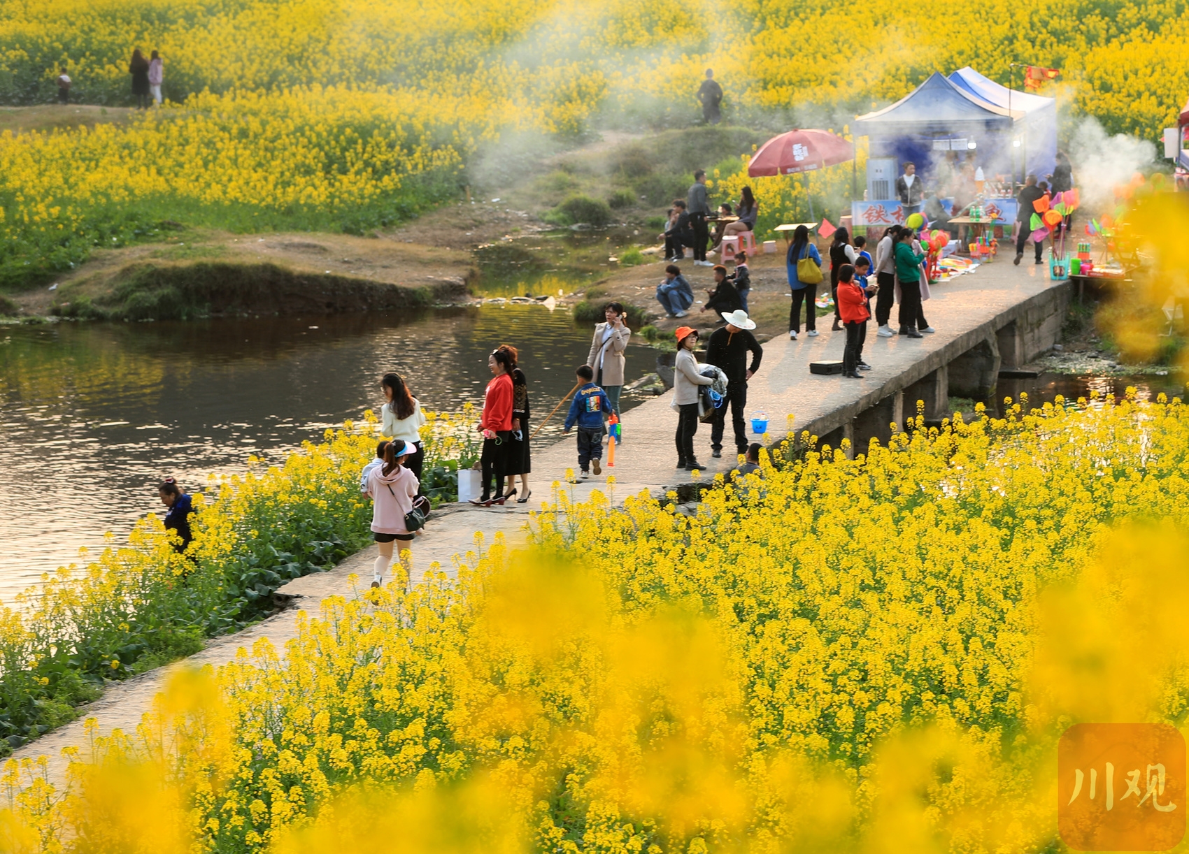 （转载）四川宜宾：赏花踏青享春光