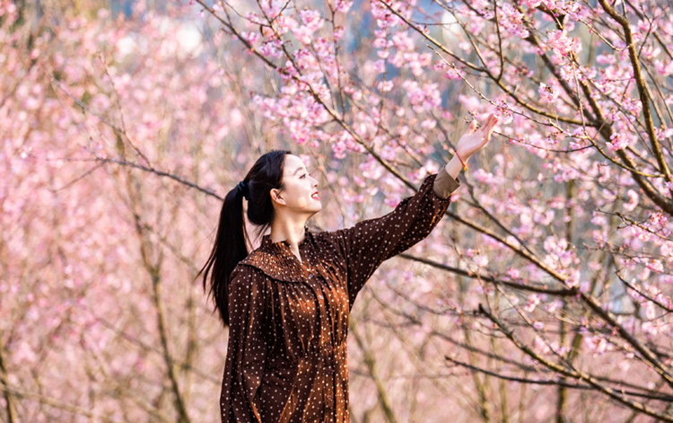 江西明月山：樱花开 春色好_fororder_1