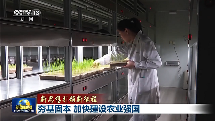 新思想引领新征程丨夯基固本 加快建设农业强国