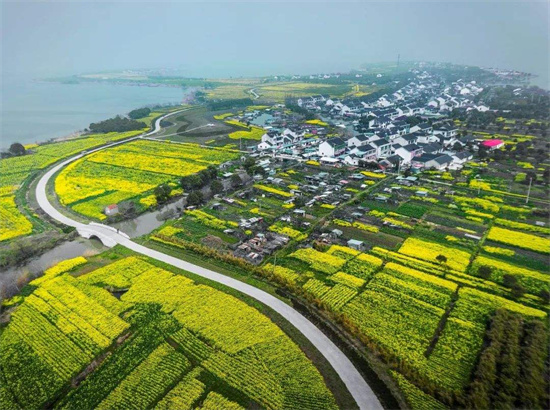 苏州相城度假区（阳澄湖镇）莲花村入选苏州市“智慧农村”示范村_fororder_图片1