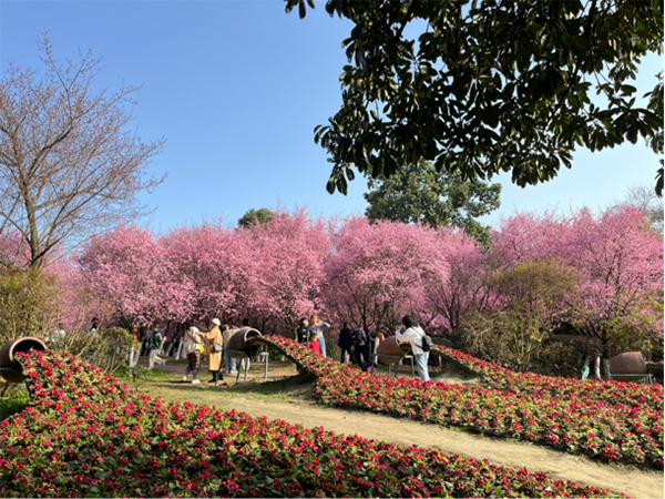 2023公园城市花粉指数发布_fororder_未标题-1