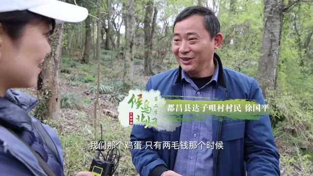大美中国 候鸟北归丨苍鹭“衔”来的村庄