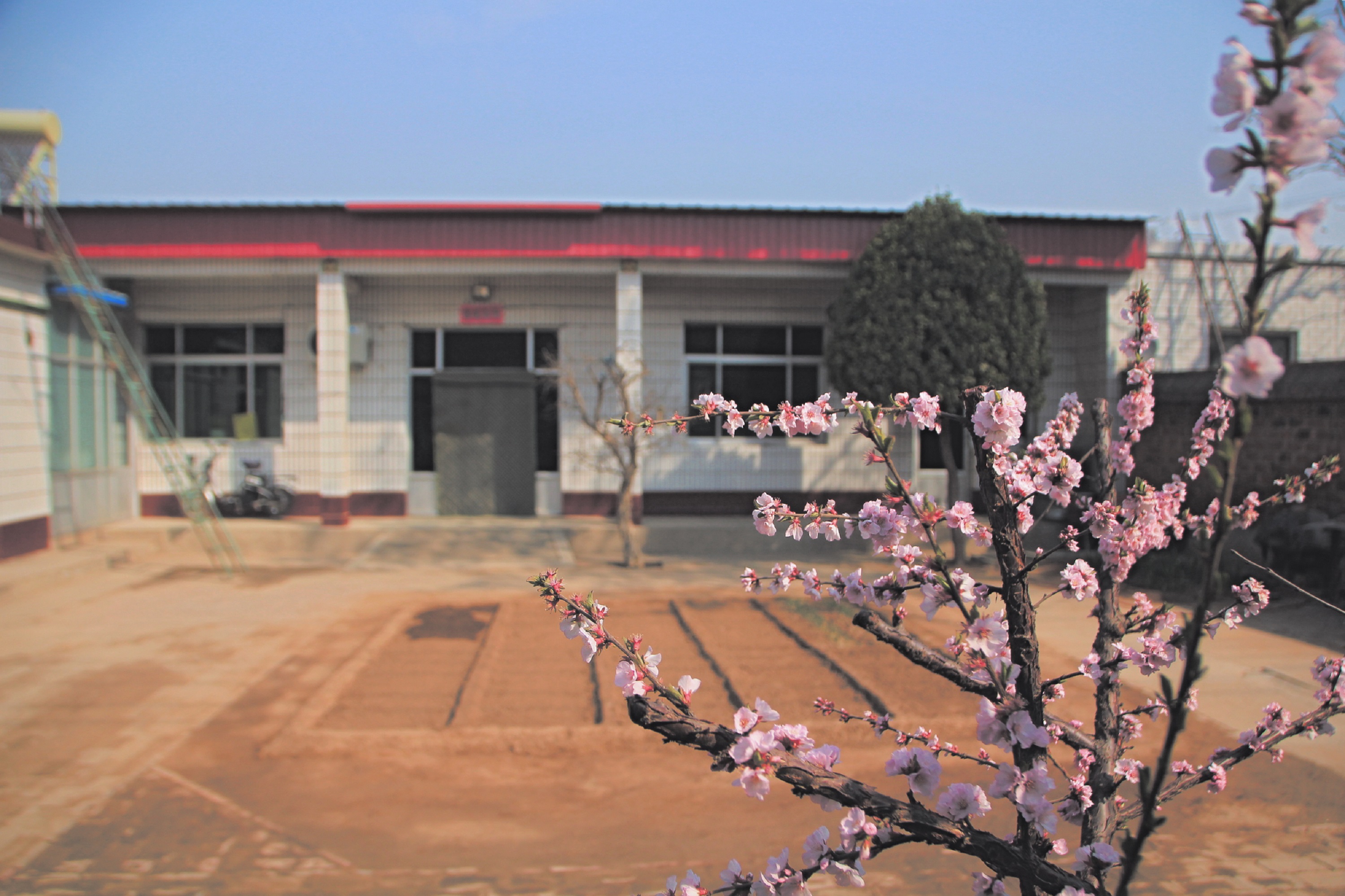 保定博野：家庭“小美”聚合乡村“大文明”_fororder_4
