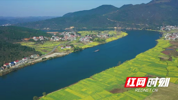 湖南衡东：千亩油菜花海迎春盛放