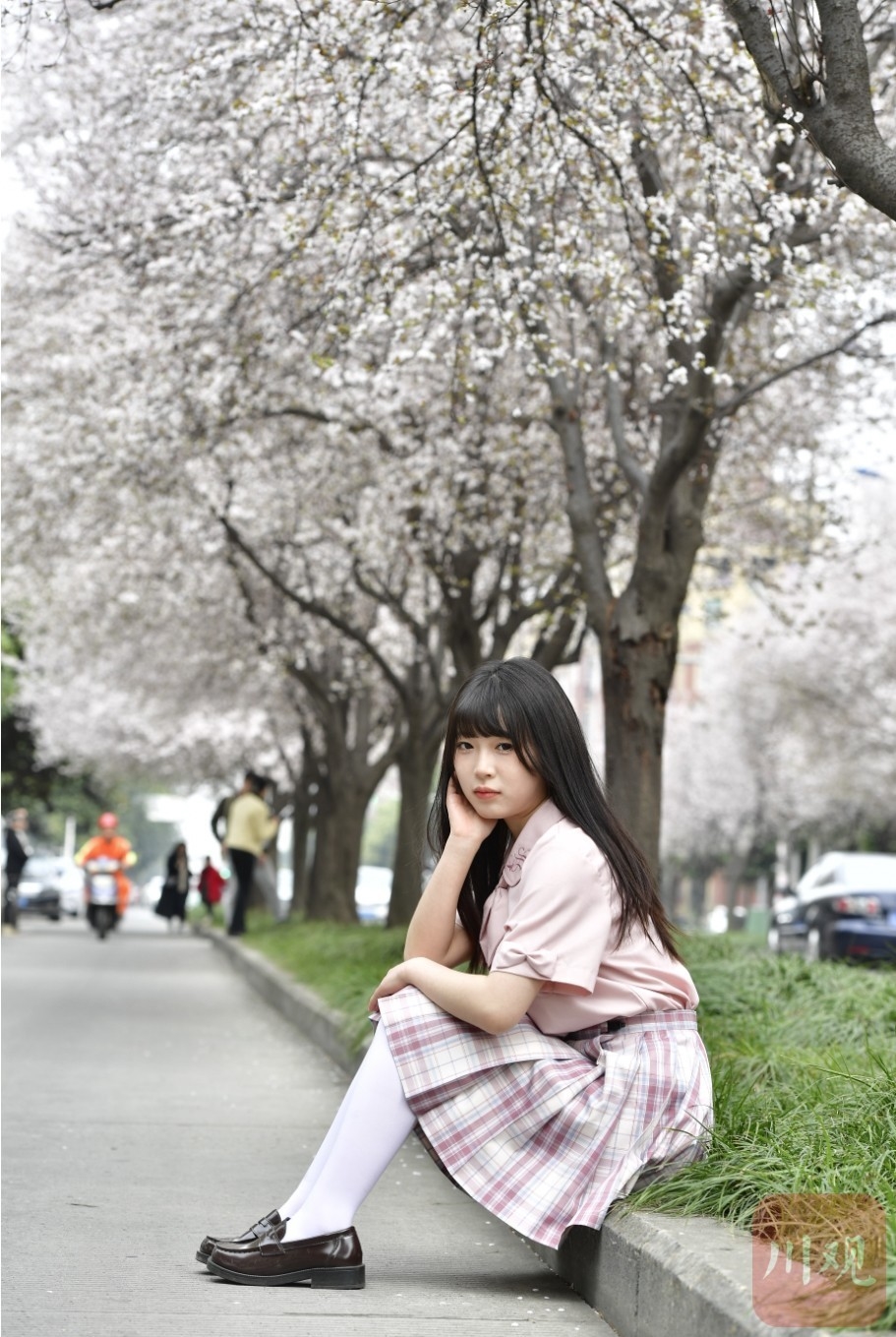 （转载）#你好·春天#春日里的一条“雪花”街