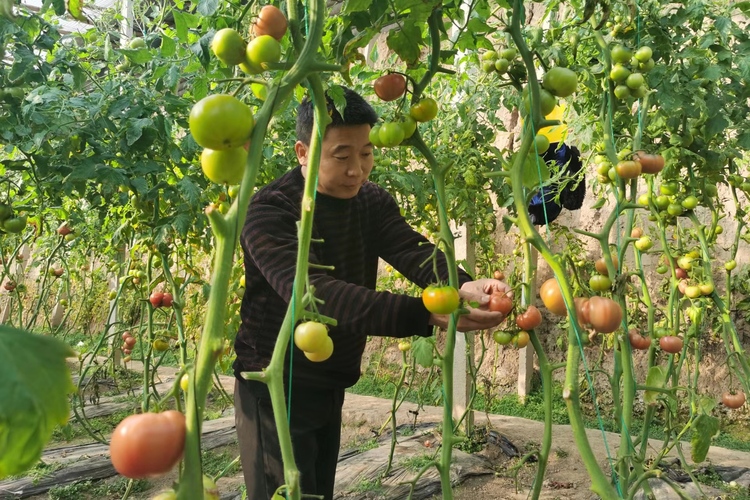 图片默认标题_fororder_微信图片_20230306154623