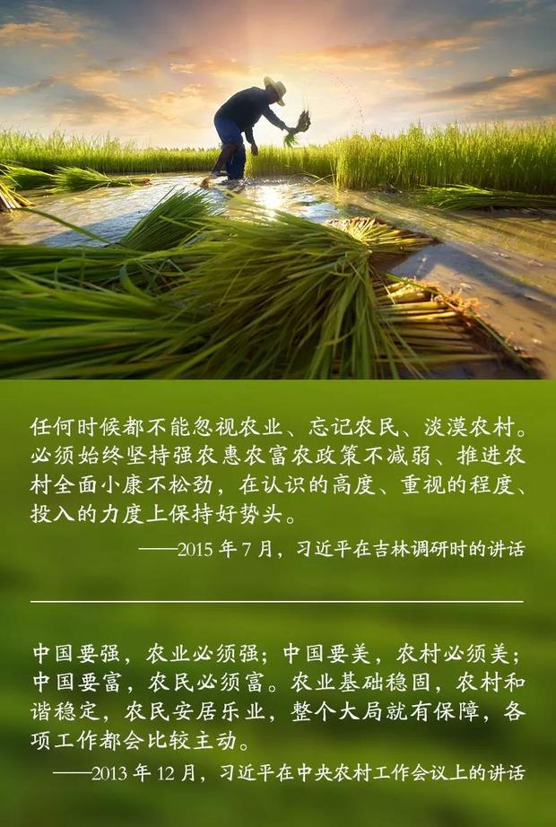 农民丰收节，且听田间习语话农桑