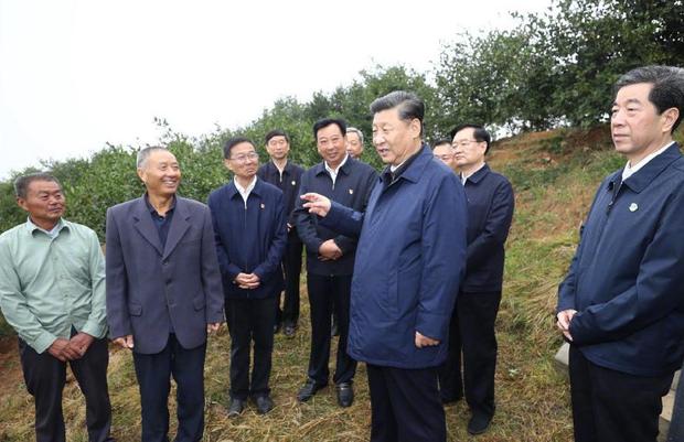 农民丰收节，且听田间习语话农桑