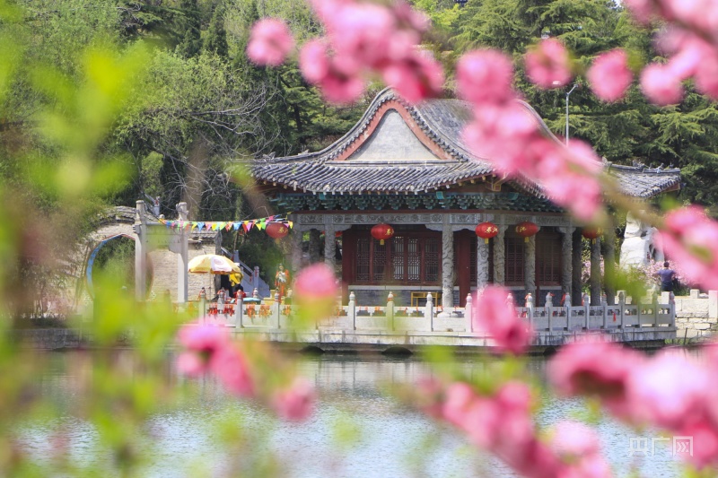 山东临朐：春风“打翻”调色盘