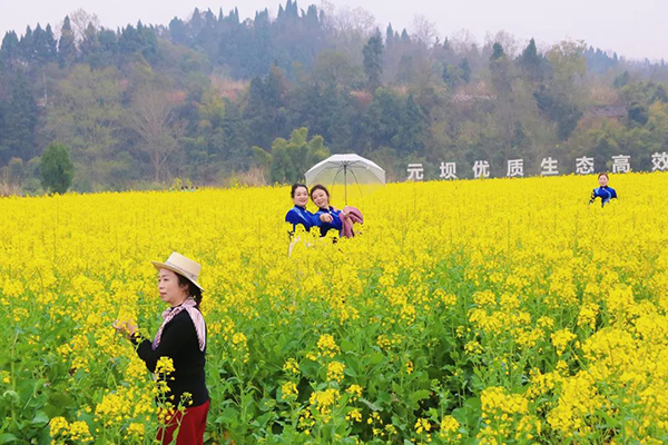 2023年资阳大足双城农文旅联动暨第二届安岳元坝油菜花赏花活动开幕_fororder_安岳千亩油菜花-供图-安岳县委宣传部（1）