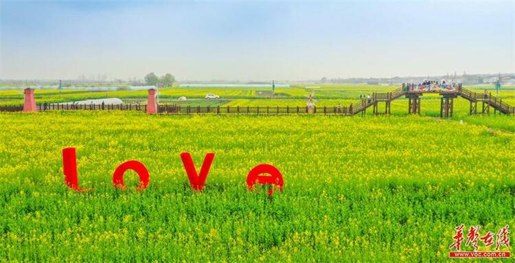 2023年岳阳国际旅游节暨第五届江南油菜花节开幕