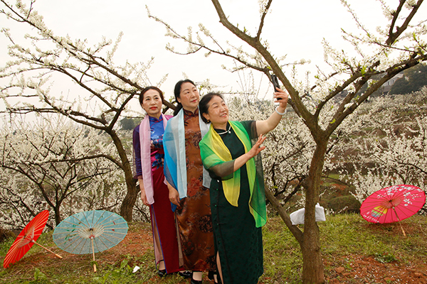 2023年四川花卉（果类）生态旅游节分会场暨高县第十四届李花节在胜天镇开幕_fororder_游客在花丛中拍照留影-摄影-高学兵