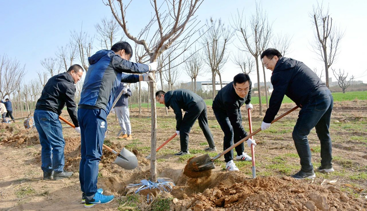 “绿动秦汉‘植’等你来” 秦汉新城举行2023年春季植树活动_fororder_图片1