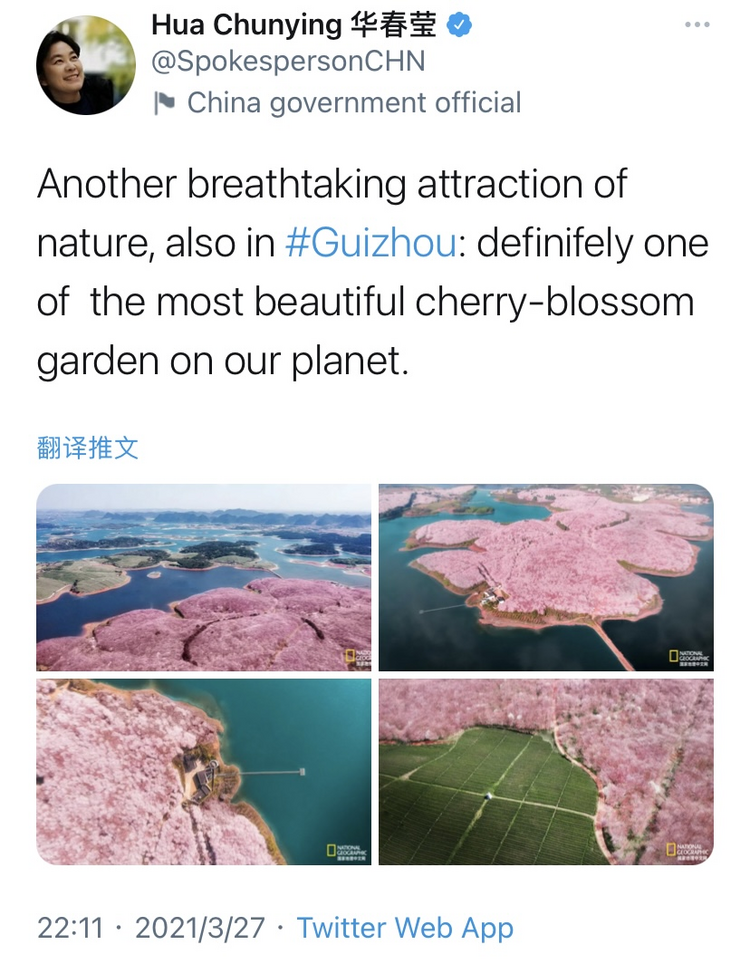 凭借生态美出圈！华春莹、汪文斌盛赞贵州樱花