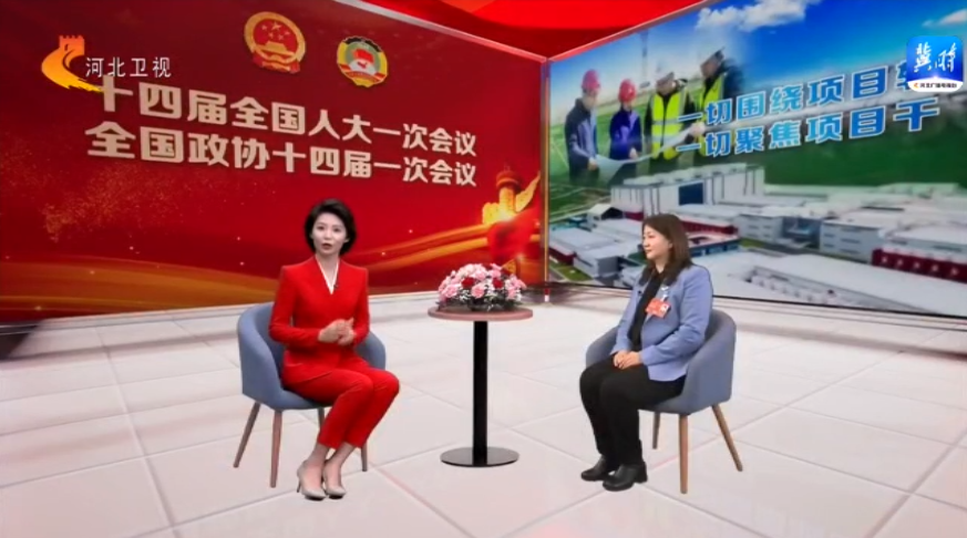 两会云访谈｜一切围绕项目转 一切聚焦项目干 千方百计扩内需_fororder_4