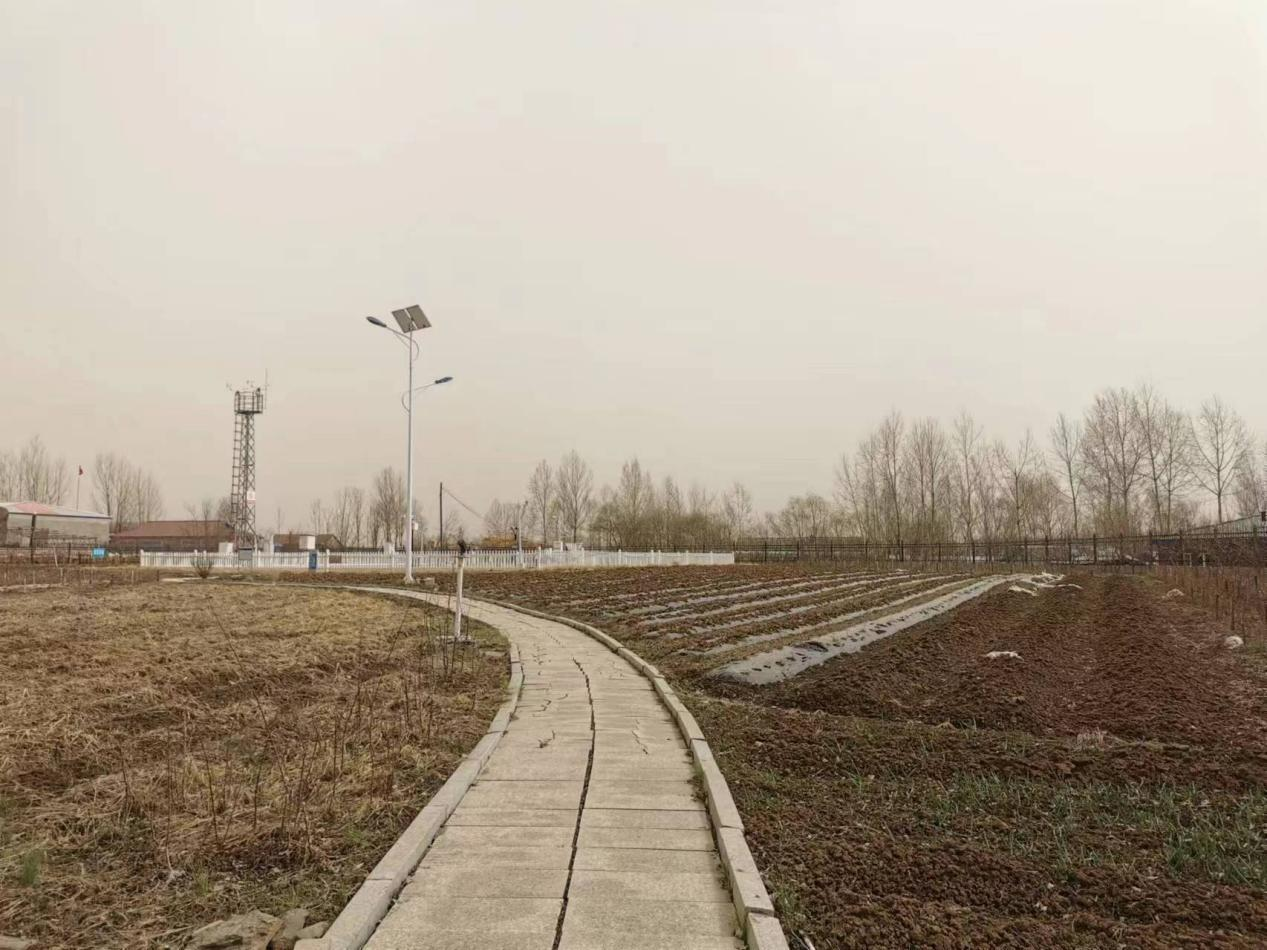 吉林省多地出现了沙尘天气 “吃土天”何时结束？_fororder_图片1