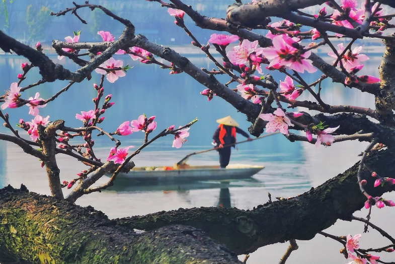 （转载）春花烂漫春光美