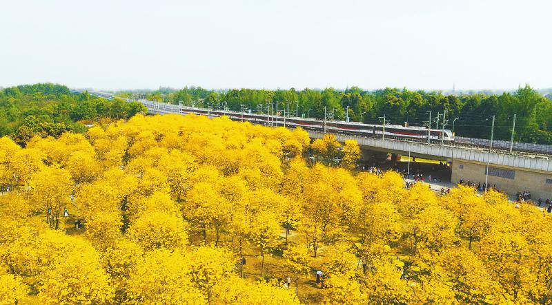 （转载）点滴变化 看成都高质量发展新图景_fororder_91676e55175bf13579d0e561aed5f75b