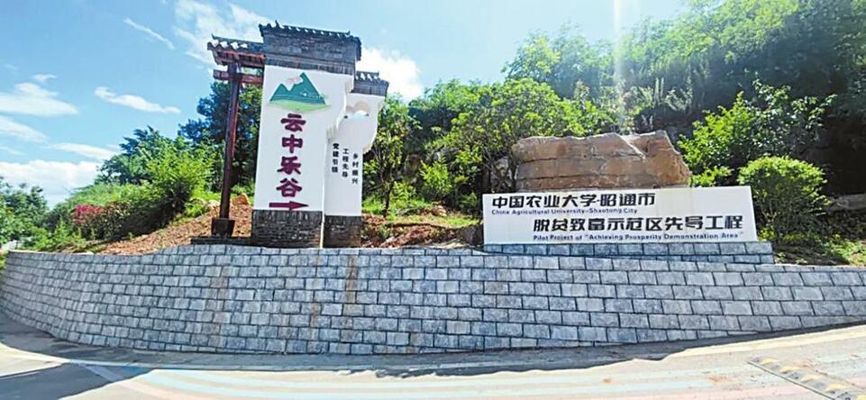 云南各地让“乡村CEO”大显身手_fororder_2d0