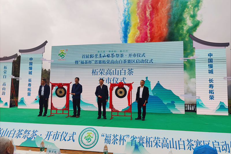 福建柘荣高山白茶正式开市交易_fororder_图片1
