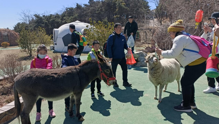 【原发】济南跑马岭·森林部落开启浸式旅游新模式_fororder_图片1