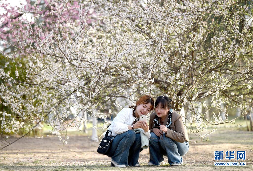 西安：春光无限好 满眼繁花灿