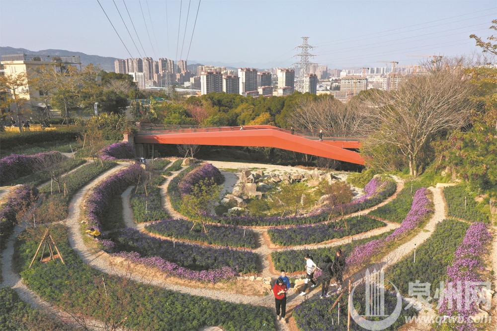泉州：山线绿道春意浓 一路繁花一路景
