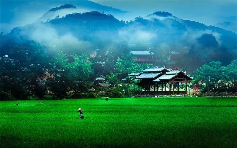 有一种叫云南的生活|诗意文山_fororder_3