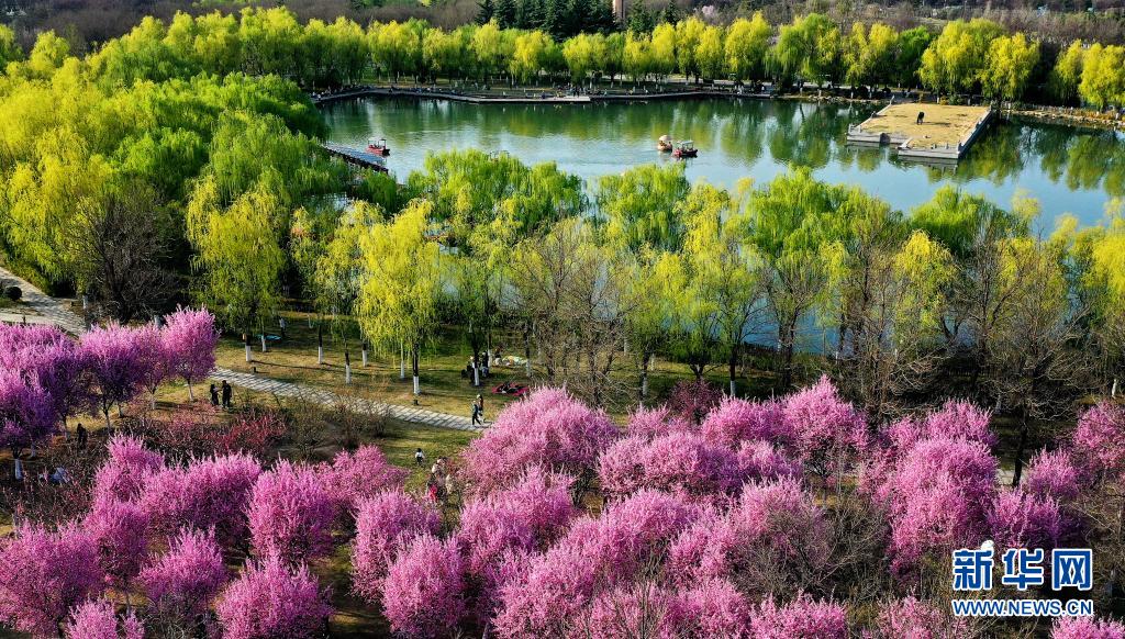 西安：春光无限好 满眼繁花灿