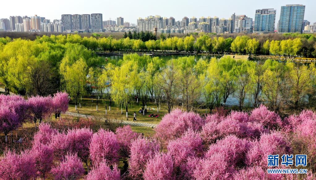 西安：春光无限好 满眼繁花灿