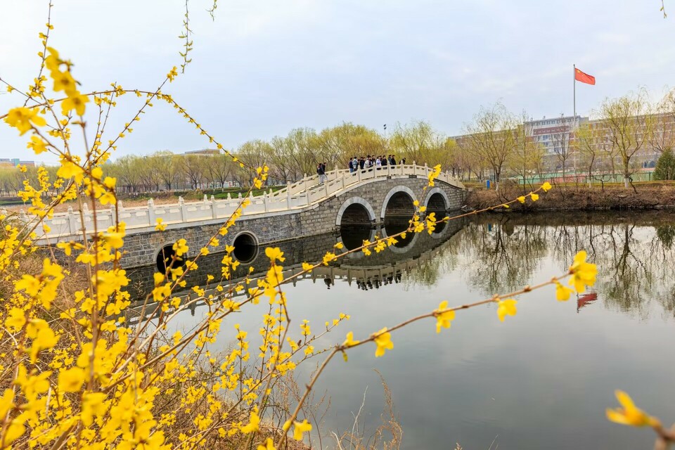 山东淄博：校园春花灿烂 学子推介学校