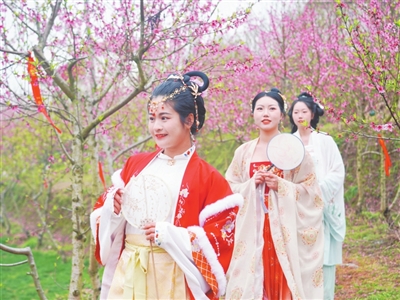 以花为媒 以节造势 以花兴旅 萍乡为乡村振兴“锦上添花”_fororder_5