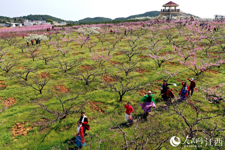 江西永修：桃花节启动 系列多彩文旅活动将陆续举行
