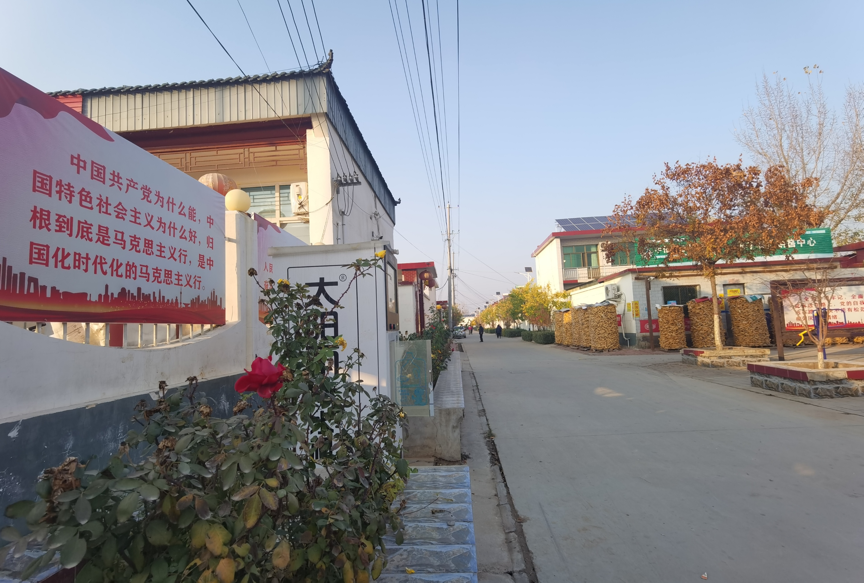 （原创）保定徐水：移民村成宜居宜业幸福村_fororder_村容村貌持续改善，移民村换新颜。刘柯旋 摄