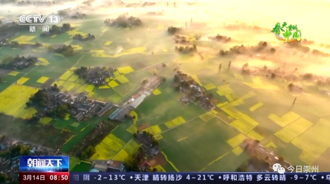 （转载）花重锦城，崇州独占三分春色