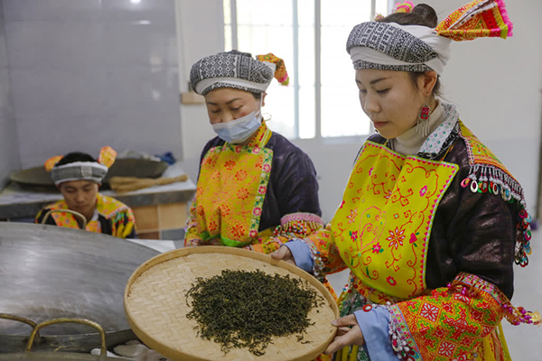 泸州古蔺：苗乡春茶开采 尝春天第一口“鲜”_fororder_翻炒后的茶叶（摄影：刘媛-）