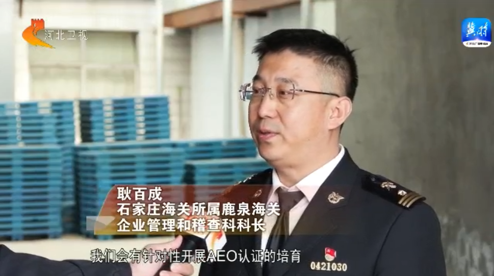 河北：强化服务举措 提升服务质量 持续激发外贸经营主体活力
